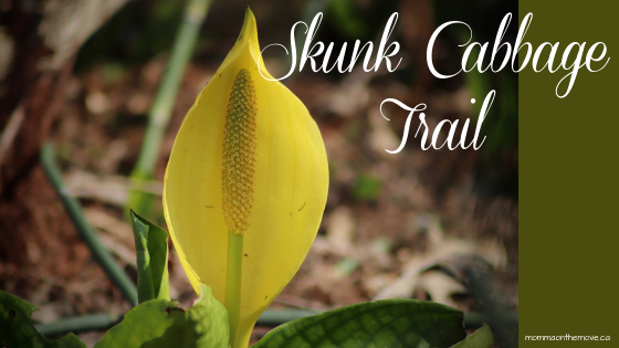 skunk cabbage trail