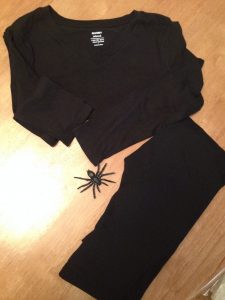 spider costume