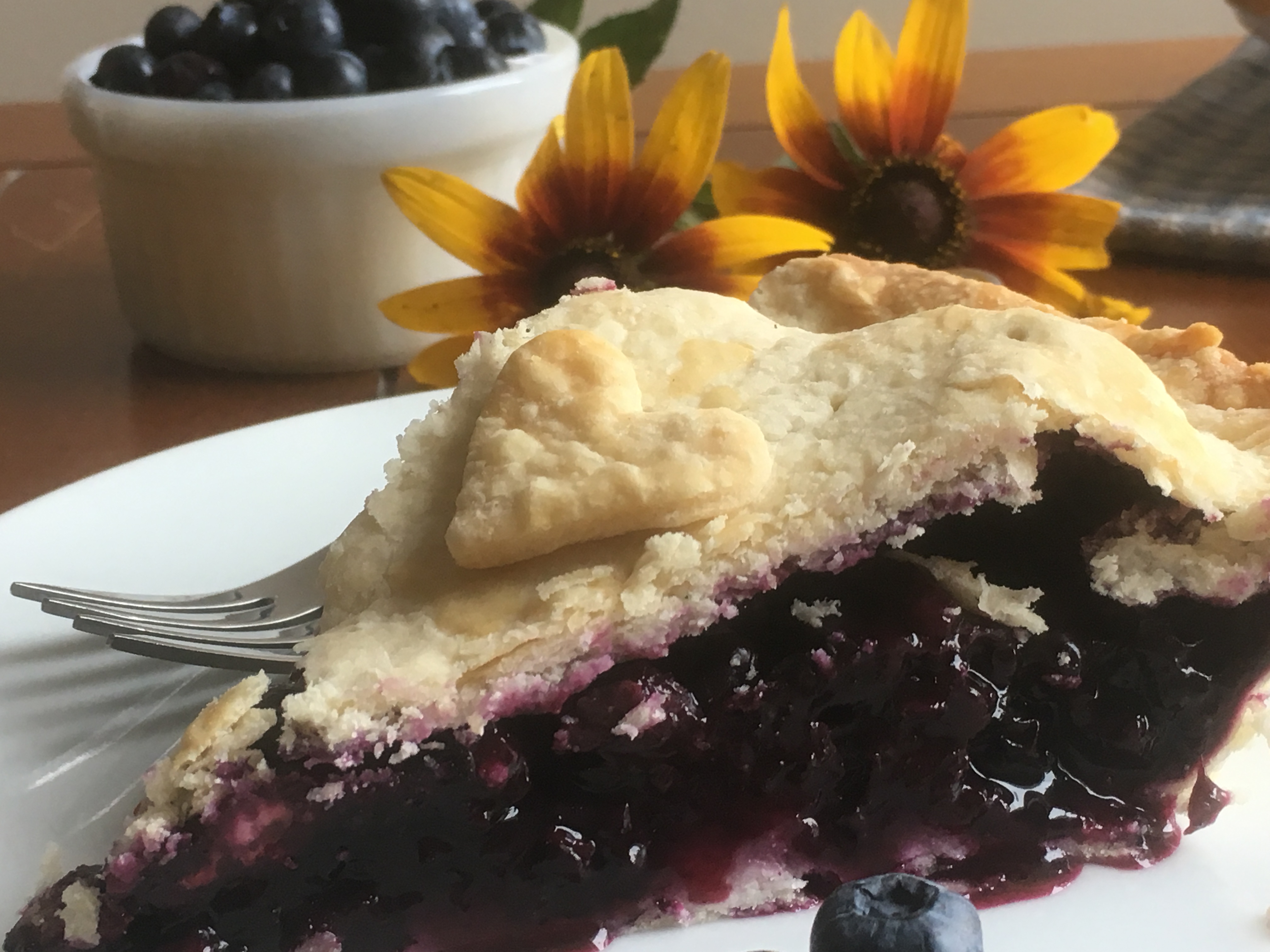 Sugar Free Blueberry Pie - Momma on the MoveMomma On The Move